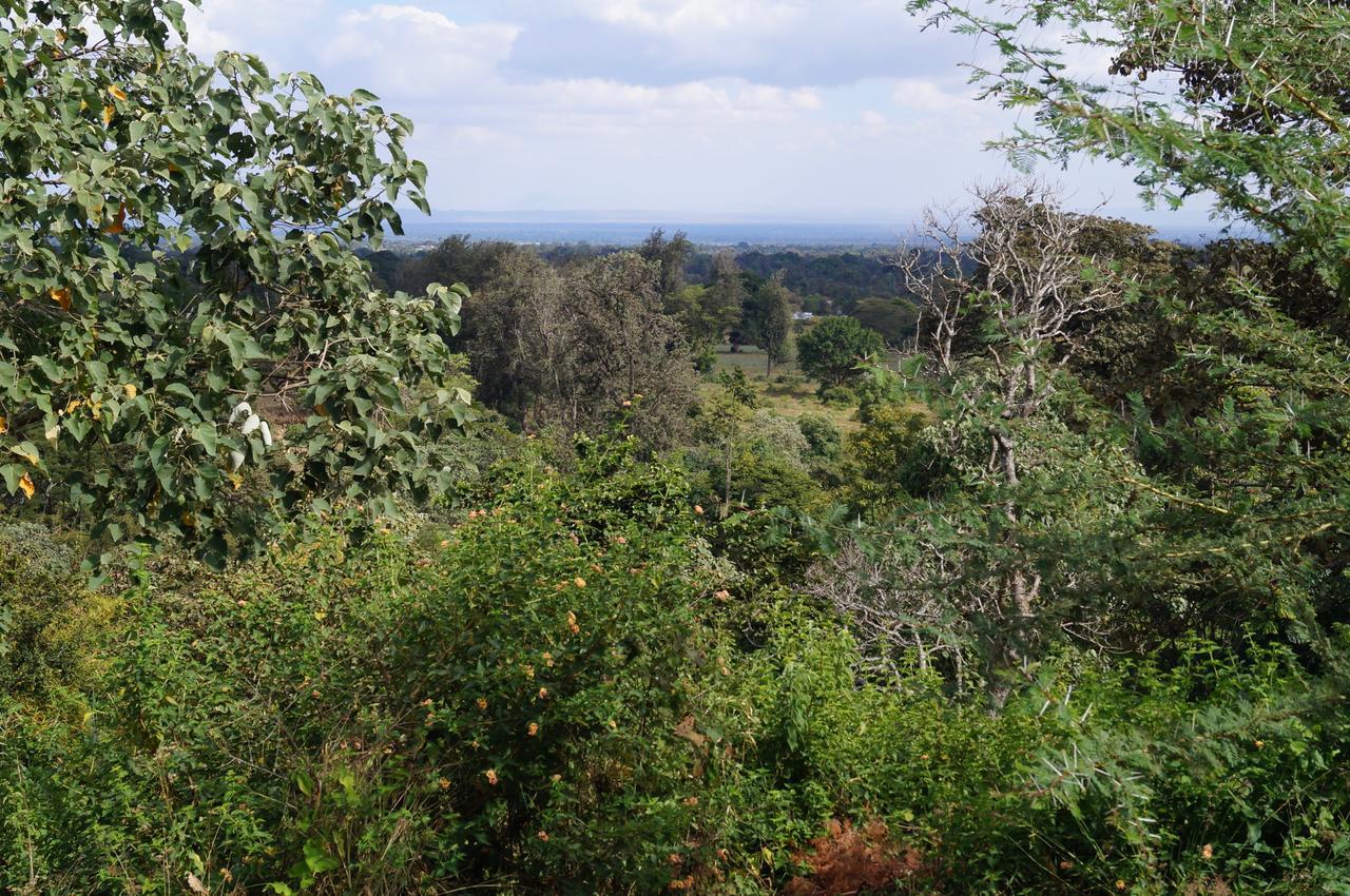 Arusha Villa Karamu Coffee Estate Usa River Экстерьер фото